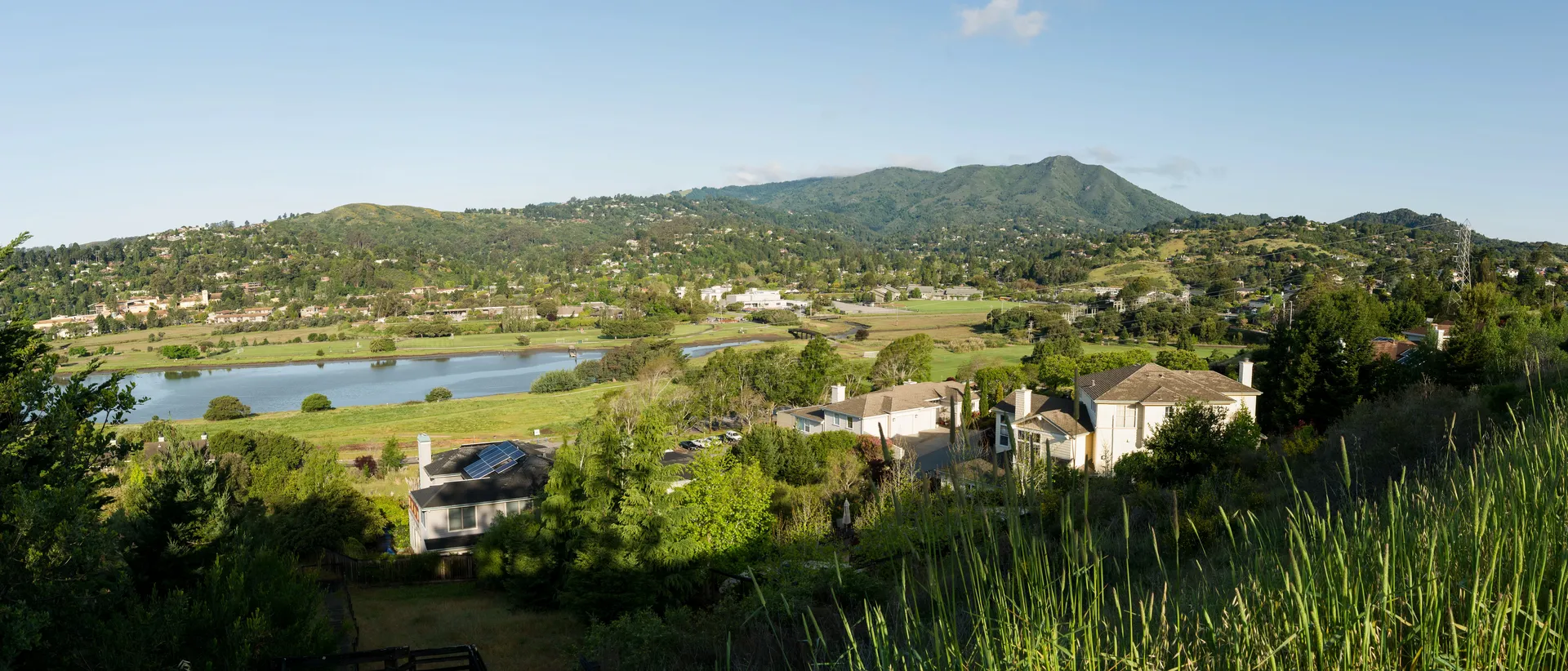 Panoramic view of Mill Valley, California nestled in the valley below Mount Tamalpais, showing homes surrounded by dense vegetation on steep hillsides