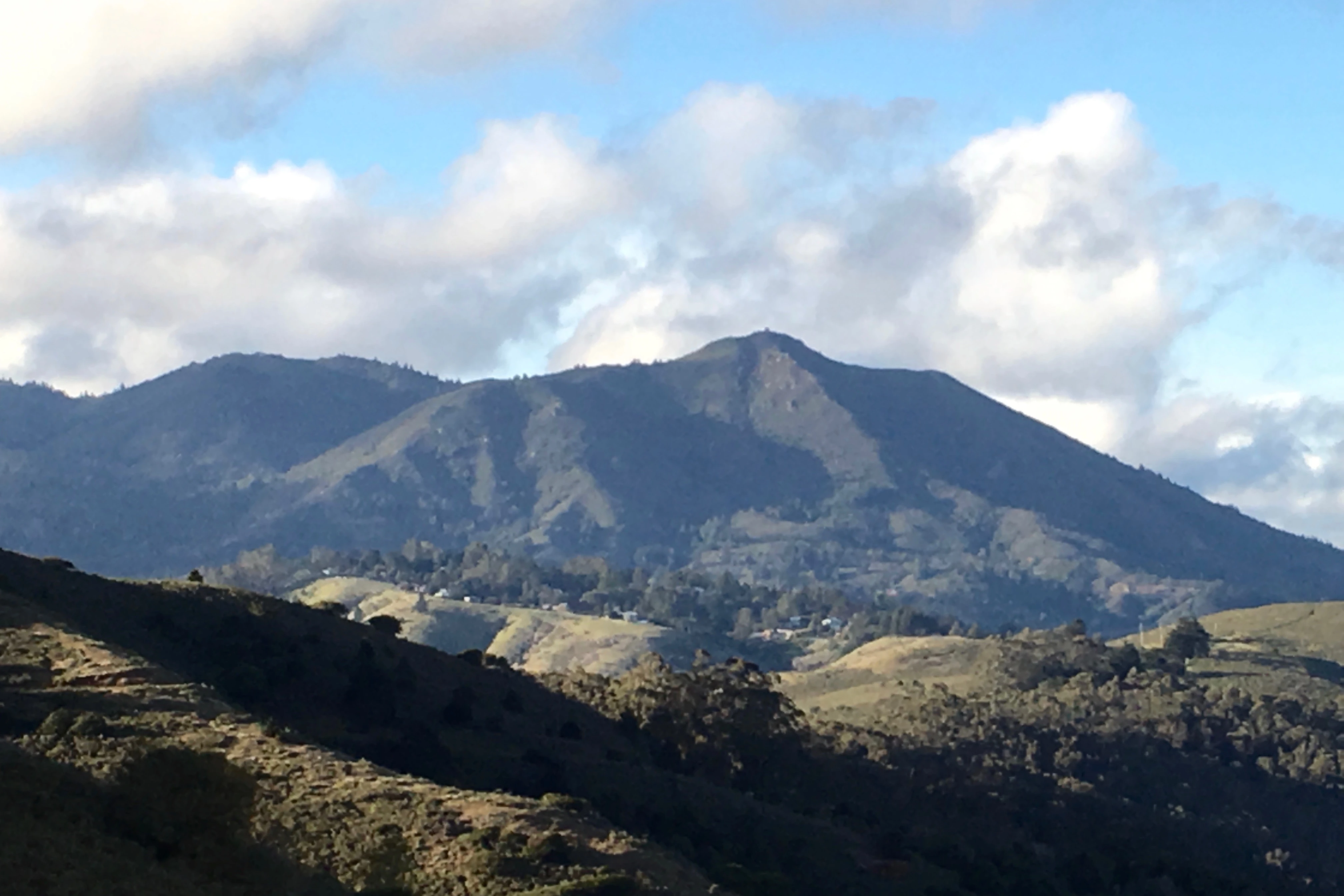 Mount Tamalpais hillside terrain above Mill Valley showing dense vegetation and steep slopes that contribute to wildfire risk