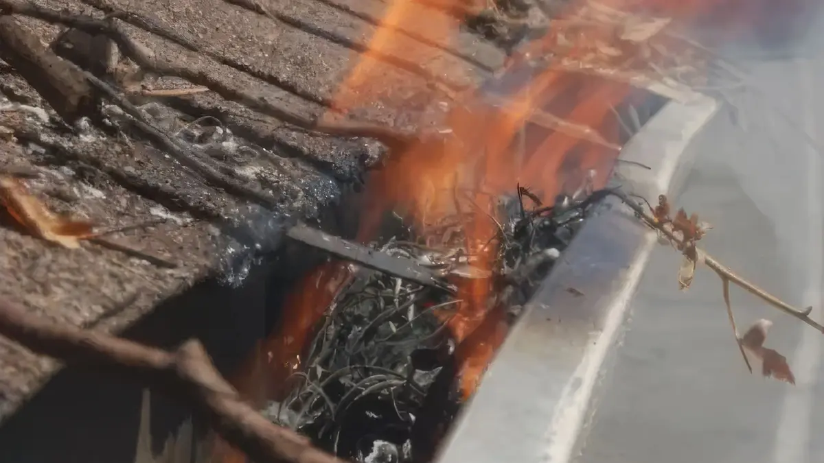 Ember debris collected in home gutters showing common vulnerability to wildfire ignition