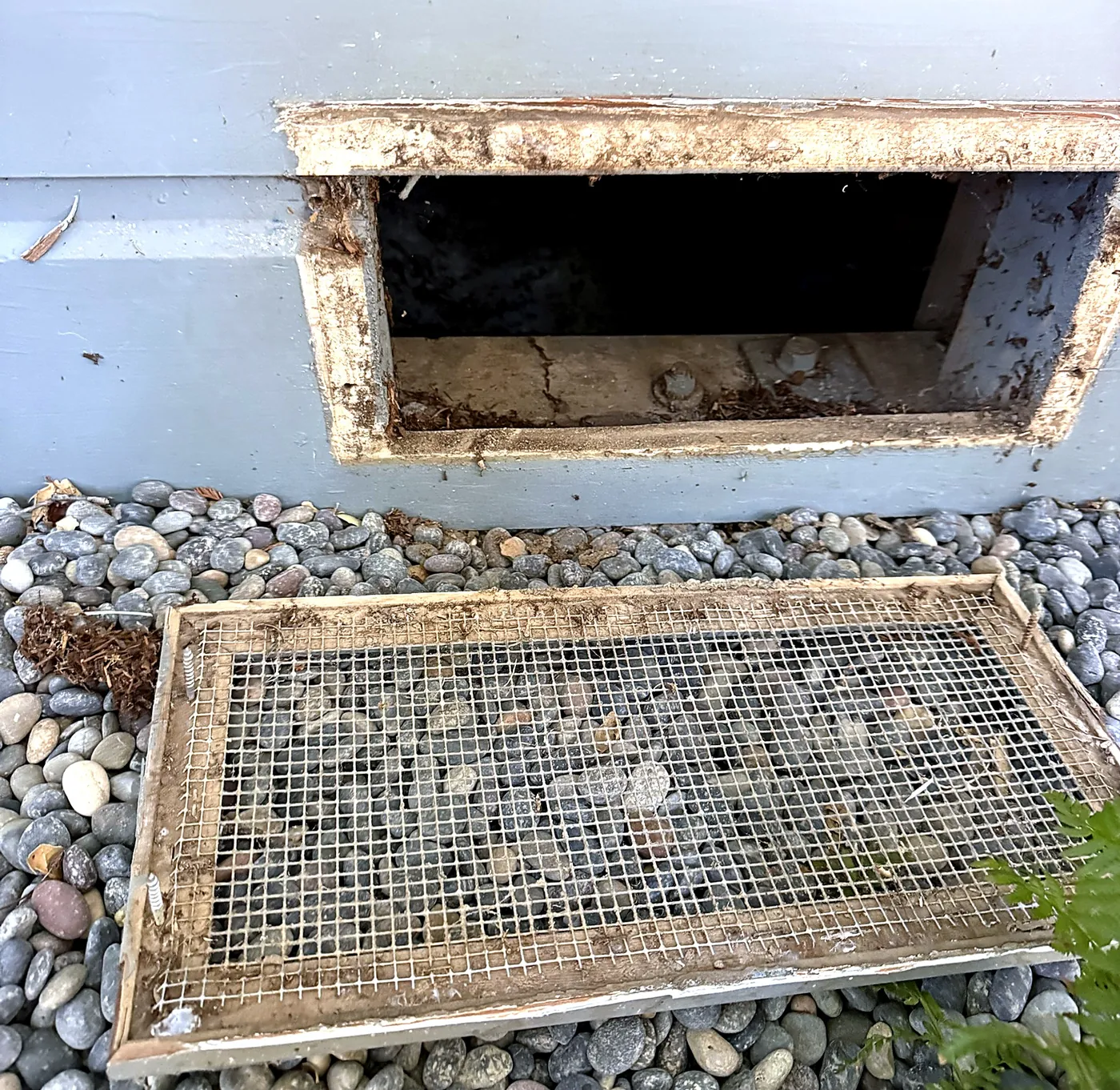 Old wood-framed foundation vent screen with wide wire mesh removed from a crawl space opening