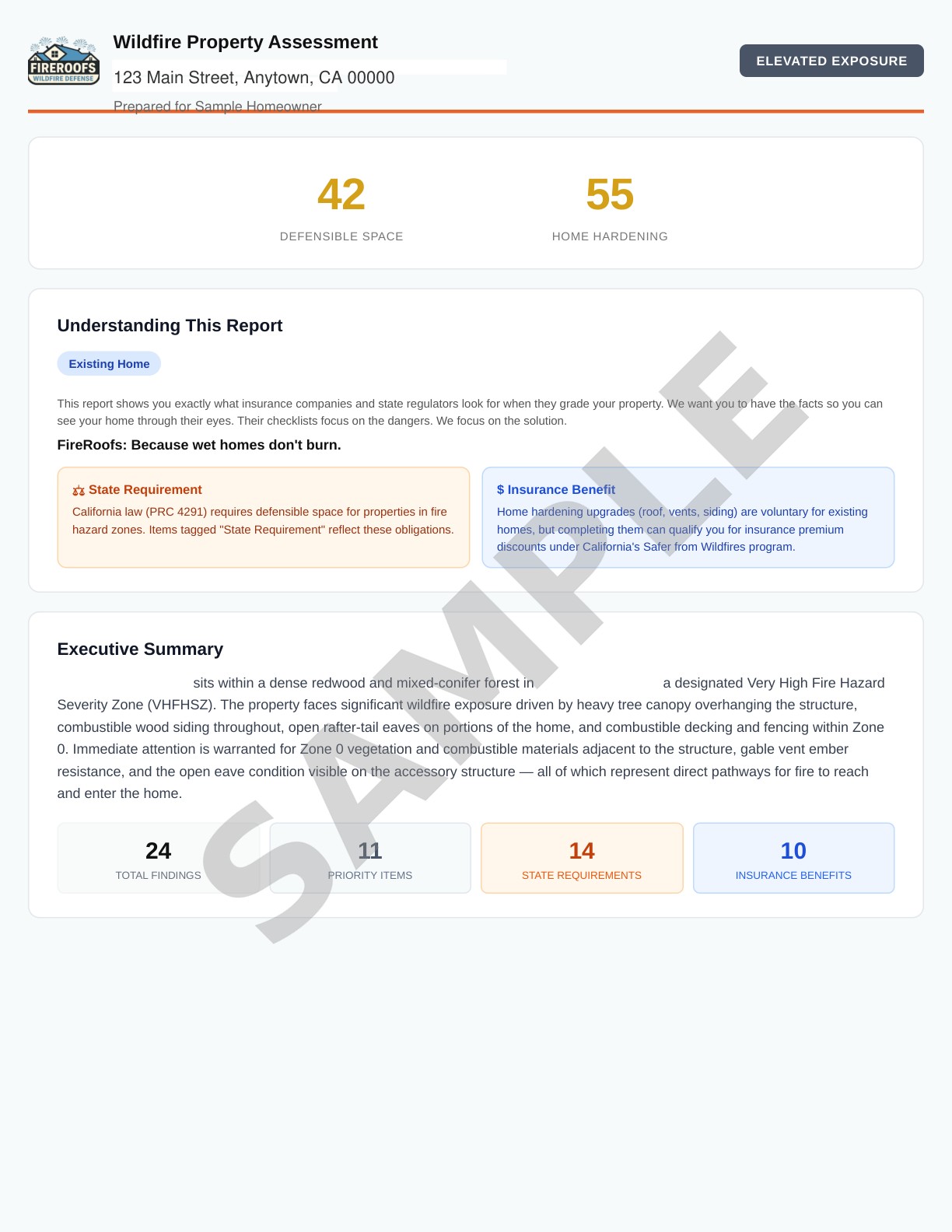 Sample report cover showing risk scores, executive summary, and total findings