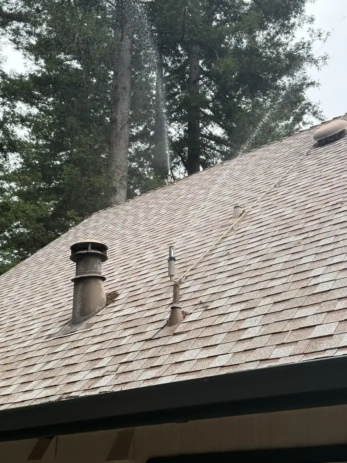 Roof sprinklers installed on a Santa Cruz Mountains ridgeline property