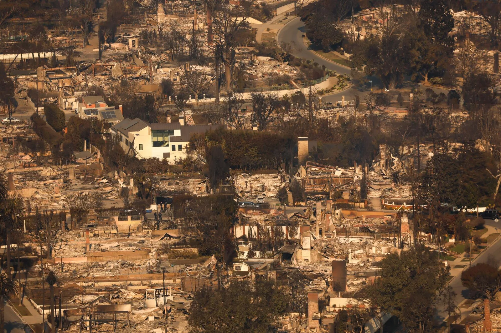 Aerial view of a neighborhood destroyed by wildfire showing the massive scale of structural loss with only foundations remaining across hundreds of properties